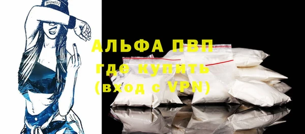 ПСИЛОЦИБИНОВЫЕ ГРИБЫ Няндома