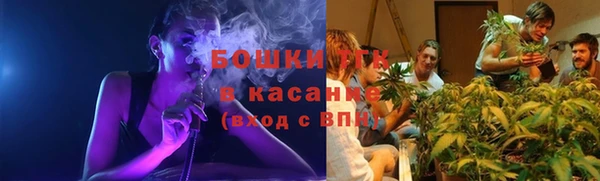 ПСИЛОЦИБИНОВЫЕ ГРИБЫ Няндома