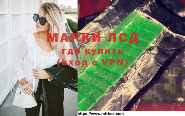 ПСИЛОЦИБИНОВЫЕ ГРИБЫ Няндома