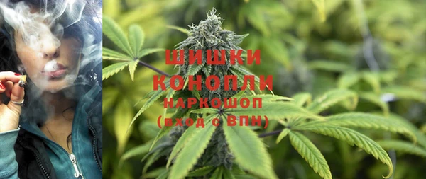 ПСИЛОЦИБИНОВЫЕ ГРИБЫ Няндома