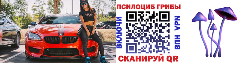 Псилоцибиновые грибы ЛСД Дно