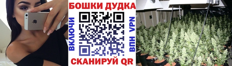 Канабис Bruce Banner  Купить закладки  Дно 